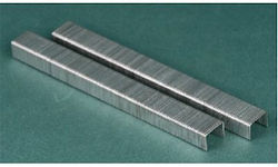 Air Tool Stainless Staples Series 80/16 Or Type A According To Prebena 680 According To Josef Kihlberg 80-380 According To Bea At According To Senco 80 According To Omer Fasco Bulle Crisco 8 80 According To Stanley 10mm 8000 Pcs Air Tool Stainless Staples Series 80/16 Or Type A According To Prebena 680 According To Josef Kihlberg 80-380 According To Bea At According To Senco 80 According To Omer Fasco Bulle Crisco 8 80 According To Stanley 10mm 8000 Pcs