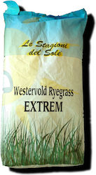 Σπόροι Lolium Extrem 25kg