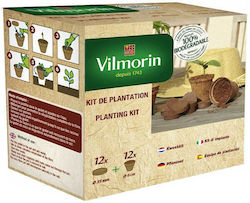 Vilmorin Cupe & Pastile De Cocos Set 12+12 Vilmorin