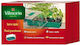Vilmorin Greenhouse Vilmorin