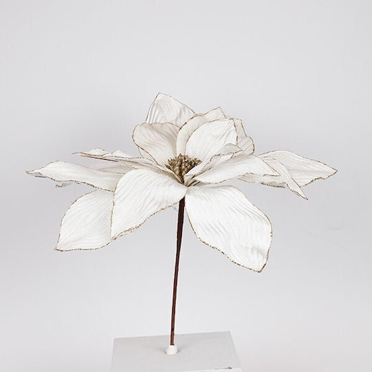 Alexandrin Grande Ivoire 50x45cm