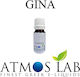 Atmoslab Aroma Gina 10ml 1Stück Gina