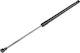 NTY Trunk Shock for Volkswagen Golf / Passat