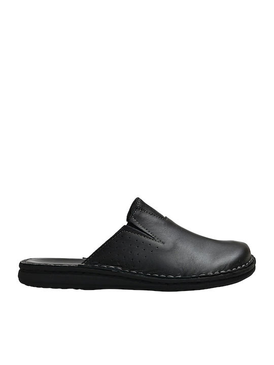 Adam's Shoes