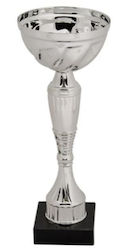 Silver Trophy Sports