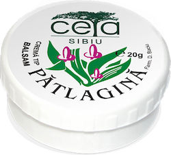 Ceta Sibiu Plantain Ointment for Eczema Κρέμα για Επούλωση 20gr Ceta Sibiu Plantain Ointment for Eczema Κρέμα για Επούλωση 20gr
