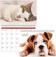 Next Monthly Wall Planner 2026 Dogs Cats Spiral 20x23cm 13 Sheets