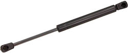 Maxgear Gas Spring Bmw X5 E53 Engine Cover 00