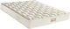 Orion Strom En55 Single Ergonomic Mattress 90x190x19cm with Aloe Vera