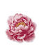 Abyss & Habidecor Bath Mat Cotton Round Pivoine 7372-15573 Pivoine Width 100cm