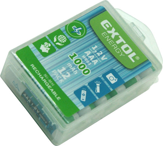 Baterii Reîncărcabile 12 Bucăți 1000mAh 1.2V Extol Energy 42062