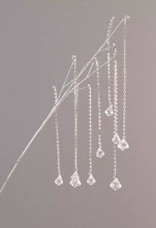 Branch
