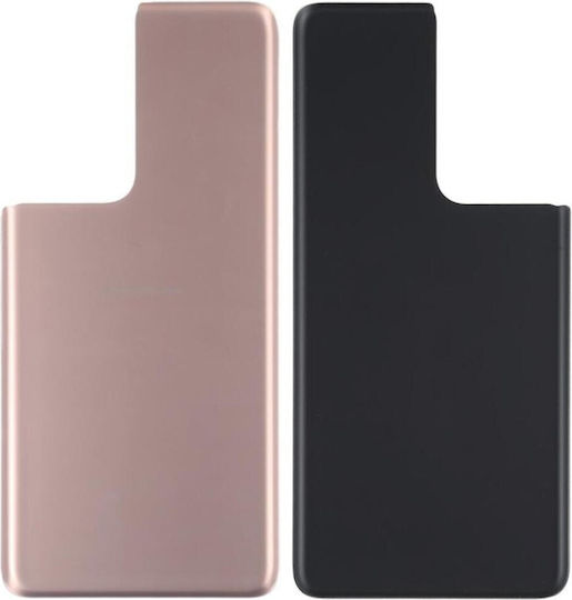 Πισω Καπακι Back Cover Samsung Galaxy S21 Ultra G998 Brown