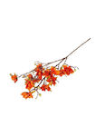 Atmosphera Christmas Decorative Branch Magnolia...