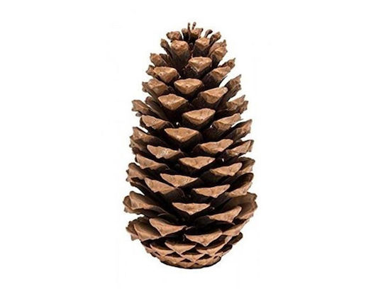 Atmosphera Christmas Decorative Pine