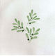 Party Napkins Dinner Olive Olivier 20x20cm Francoise Paviot 20 Pieces