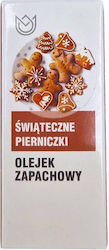 Natural Aromas Essential Fragrance Oil Christmas Gingerbread N-a 10ml