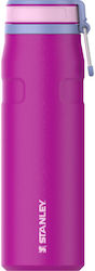 Stanley Iceflow 700ml Violet Blossom