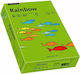 Papyrus Rainbow Цветна Копирана Хартия 88042673 *218140706 Dc A4 80 Г/м² 500 Листа Тъмнозелена
