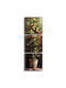 Canvas Paintings Set 3 Pieces 748myl1106 45x45cm Multi Wallity Square Wood Canvas