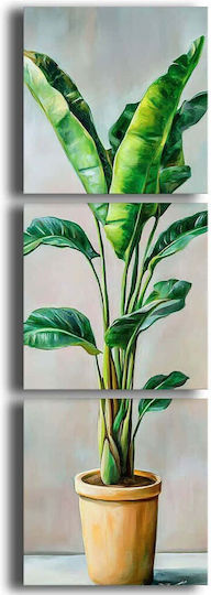 Πίνακας Καμβάς Σετ 3τμχ 748myl1102 45x45cm Multi Wallity Τετράγωνοι Ξύλο Καμβάς