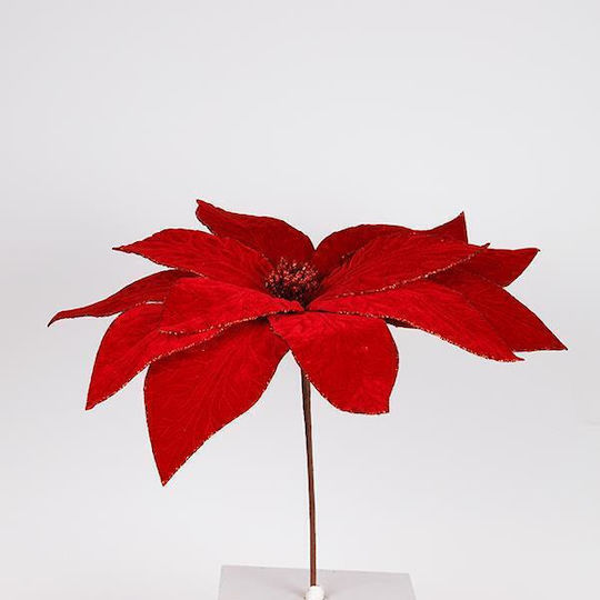 Αλεξανδρινο Grande Rotes 50x52cm