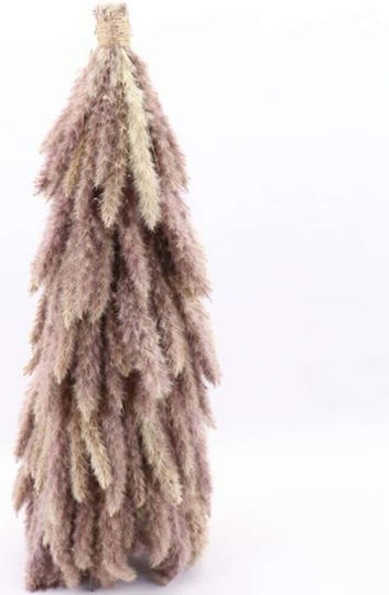 Pampas Pampas grass σε Γλάστρα Μπεζ Atmosphera