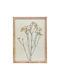 Jonas Κορνίζα Τοίχου Ξύλινη με Καφέ Πλαίσιο