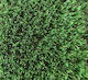 Synthetic Turf in Roll 1x2m and 40mm Height