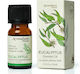 Φυσικό Αιθέριο Έλαιο Ευκάλυπτου Natural Essential Oil Eucalyptus 10ml