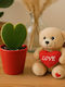 Succulent Heart Shape Hoya Kerrii Bear