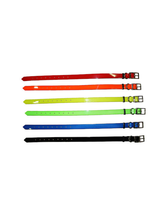 Hundehalsband Für Hunde Glänzendes 2,50cm Grünes