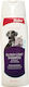 Dog Shampoos & Conditioners Cats Bioline Glossy Coat 250ml