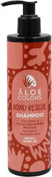 Aloe Colors Shampoos 300ml