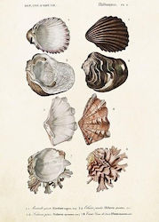 Skona Ting Card St372 B6 + Envelope Shells
