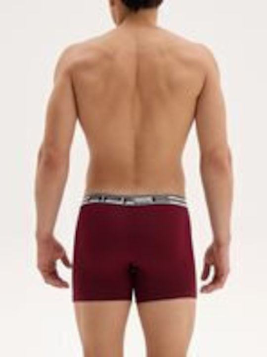 Apple Boxer Men's Boxer Burgundy