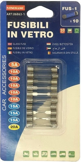 Auto-Sicherungen Glas Schnell 10 Stück Nenchang Fus-1