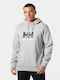 Sweatshirt mit Kapuze Gray