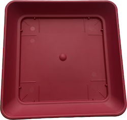 Farfurie Pot 03837