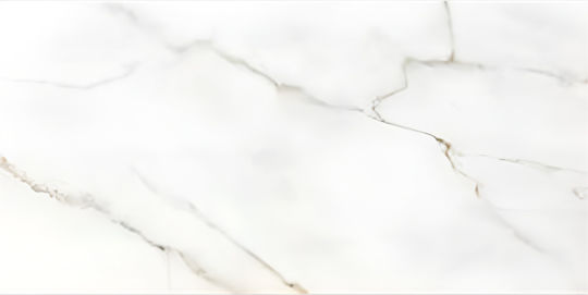 Rak Ceramics Fliese Boden / Wand Küche / Bad 120x60cm Calacatta Africa White