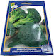 Gemma Seeds Broccoli Green