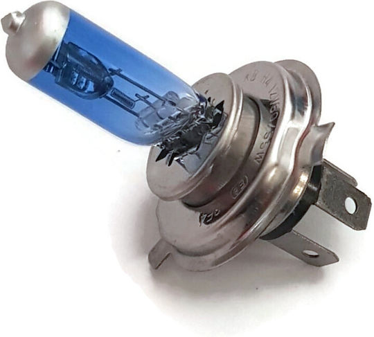 Gazzenor Xenon Set de Iluminare H4 12V 5000K Alb rece