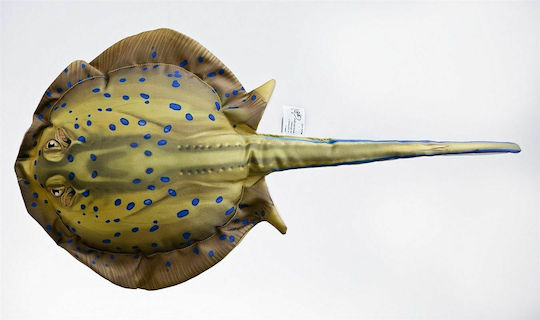 Stingray Pillow 50cm
