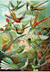 Ks Games Puzzle Haeckel Hummingbirds 1500pcs Ks22030