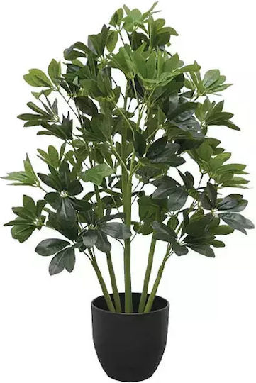 Schefflera Tree Planter H80cm 4/kib 04-10096