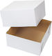 Cupcake Cake Boxes 30x15 Cm 2 Pcs Wilton