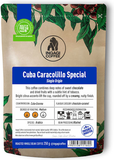 Espresso Kaffee Ingagi Kuba Caracollilo Special 250g Körner