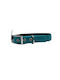 Dog Collar with Blue Padding 20mm x 45cm Petcamelot