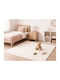 Newplan Jasmine 1004 Carpet White (Price Per Meter)