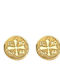Paraxenies Earrings made of Silver Gold Plated